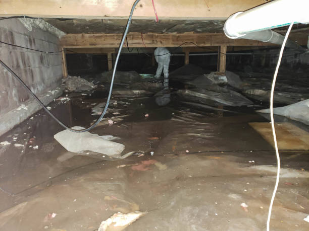 Cologne, MN Water damage restoration Company